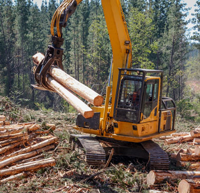 logging machinery