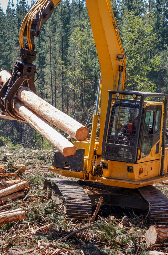 logging machinery